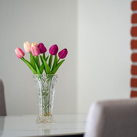 Apartment Gioia Ровинь Экстерьер фото